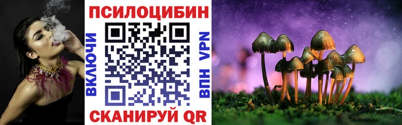 Галлюциногенные грибы Psilocybine cubensis  Электрогорск 