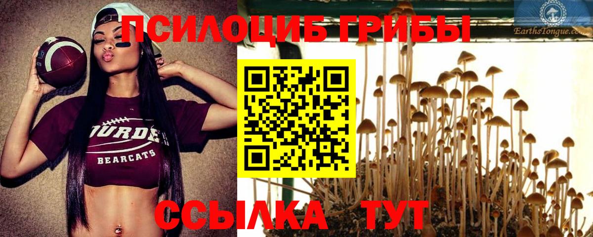 Электрогорск  Галлюциногенные грибы GOLDEN TEACHER  Галлюциногенные грибы Cubensis  Вход с VPN 