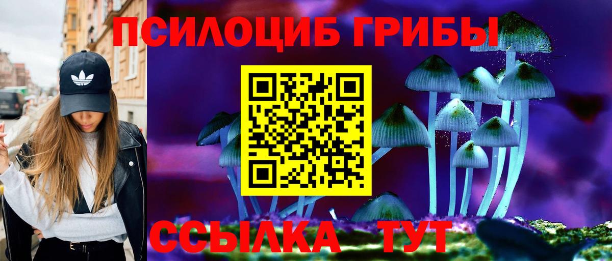 Галлюциногенные грибы Magic Shrooms Электрогорск